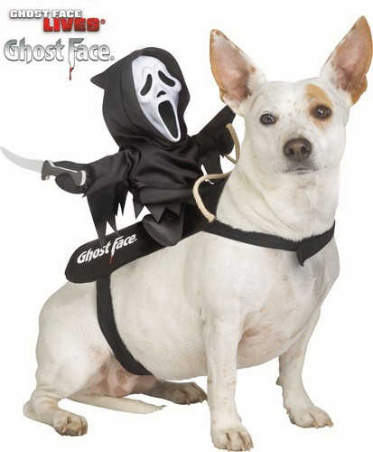 Halloween ghost face rider - ghost,