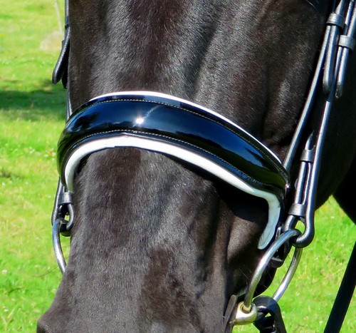 Fss simple cavesson noseband - cavesson,