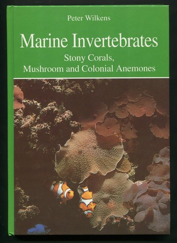 Marine invertebrates stony - marine,