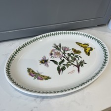 Portmeirion Botanical Rosa Dog