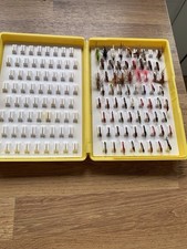  68 Buzzers and Nymphs  in a fox box. 