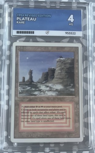Mtg 1994 plateau revised - mtg,