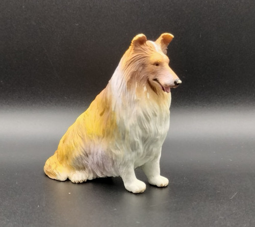 Shetland sheepdog sitting - shetland,