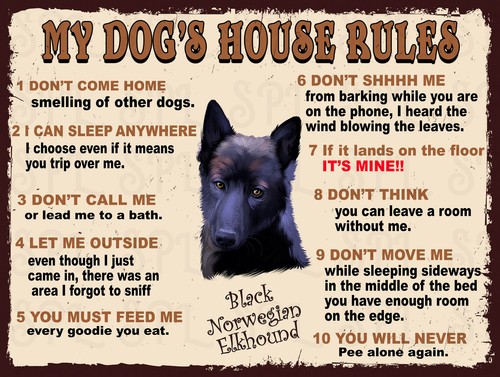 Dog house rules black - dog's,