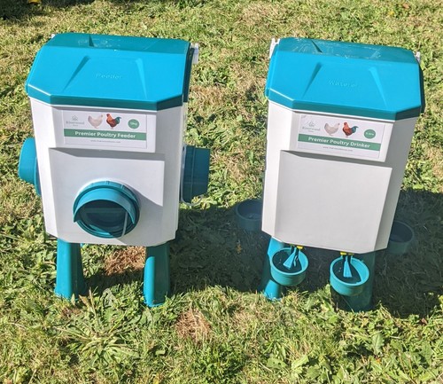 Chicken poultry feeder - chicken,