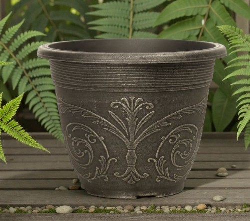 Round champagne plant - champagne, 20cm