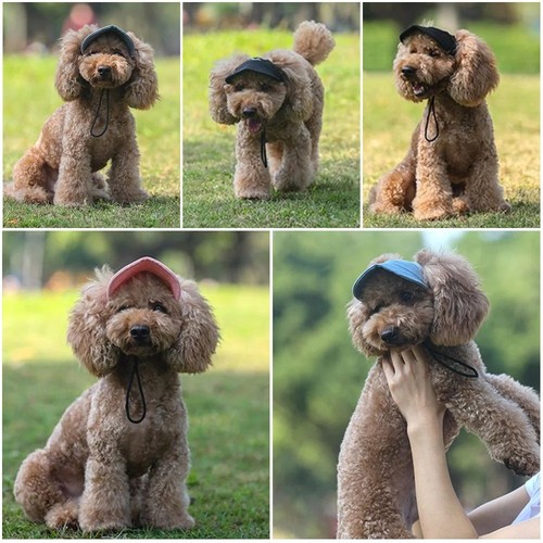 Pet dog hat baseball cap - hat,