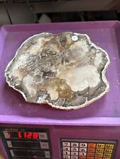 Stunning Petrified (Fossilised) Wood Slice Inc Free Stand 1.127 Kilos #1