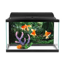 PVC Reptile Box Rainforest