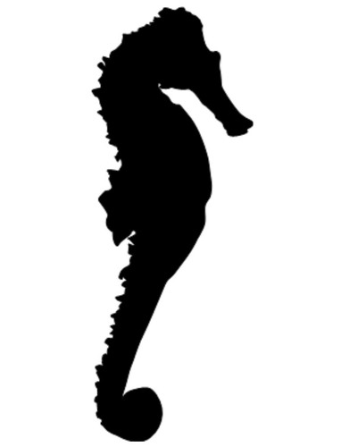 Seahorse vinyl decal sticker - vinyl,