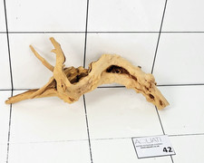 Premium Natural Aquarium