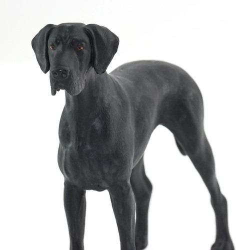 Black great dane - black,