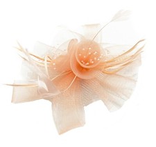 Butterfly Black Feather