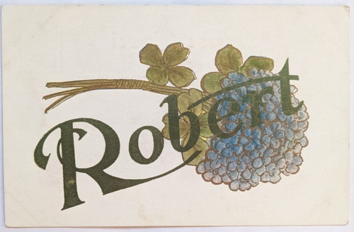 Rober large letter name - large,