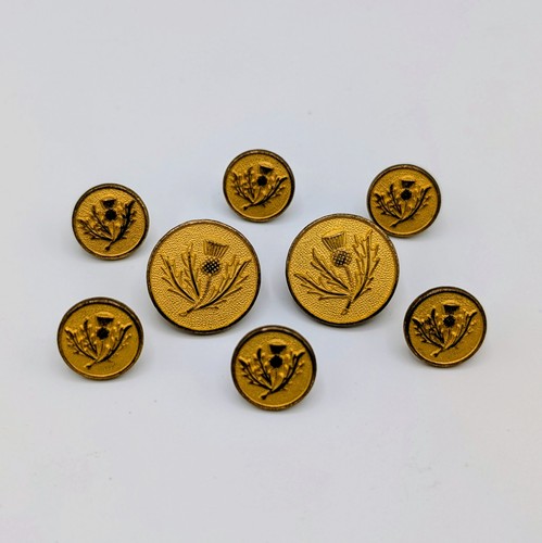 Holland sherry england gold - holland, &