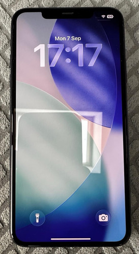 Apple iphone pro max - max, 256gb