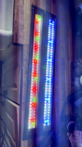 Juwel helialux spectrum 800 - juwel,