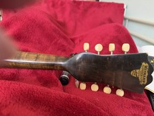 Wayman Mandolute with hard