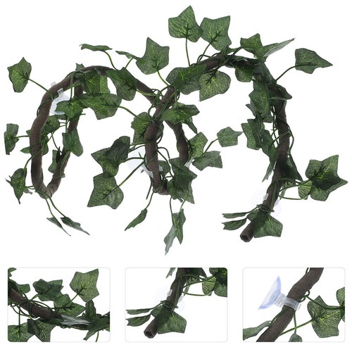 Set reptile vine for - reptile,