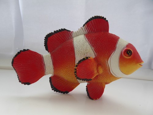 Clown fish solid - clown,
