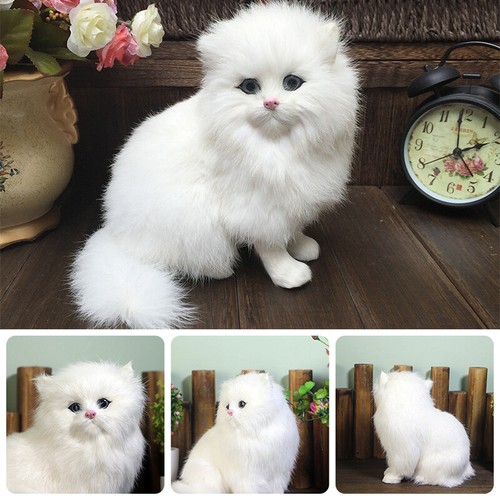Realistic persian cat animals - cat,
