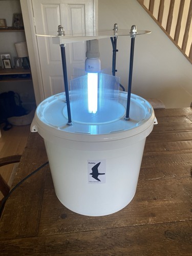 Hobby 26w actinic - hobby, trap