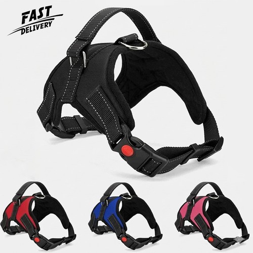 Pull dog harness adjustable - no,