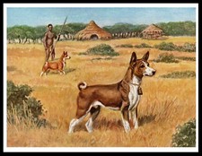 Basenji African Scene A4 Size