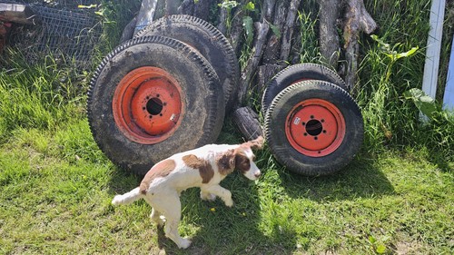 Kubota tractor grass - grass, tyre