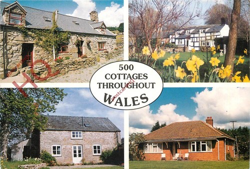 Picture postcard wales - postcard;,
