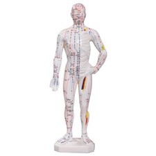 66fit Acupuncture Male Model -