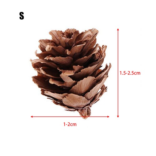 60pcs small pine cones - small,