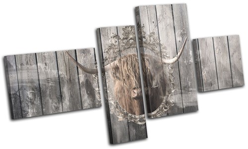 Shabby chic highland - shabby, cow