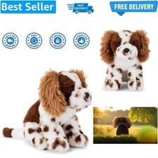 Chester the Springer Spaniel
