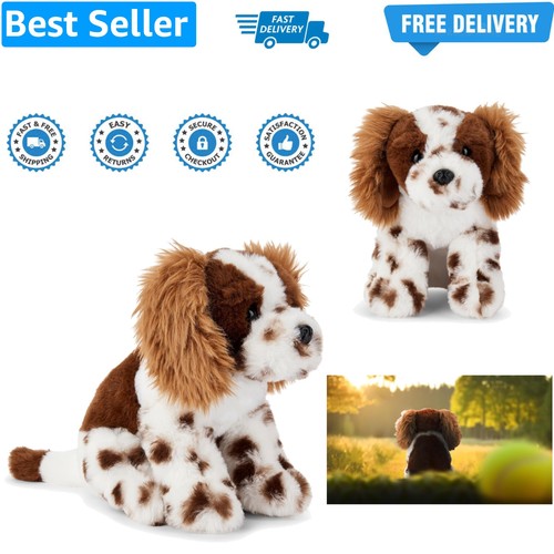Chester the springer - chester, spaniel