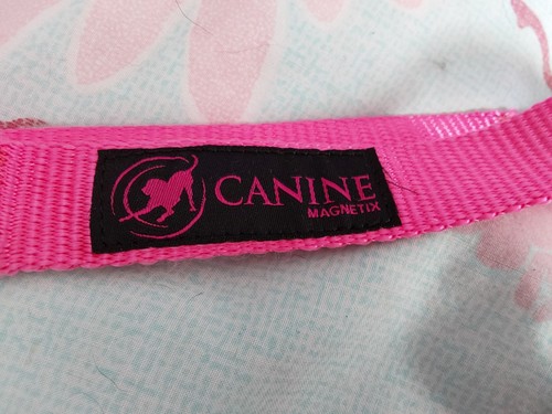 Large cerise pink magnetic - pink, dog