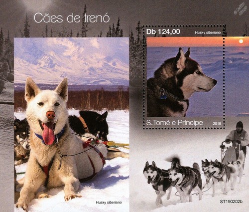 Sled dogs siberian - sled, /
