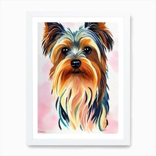 Yorkshire Terrier 2