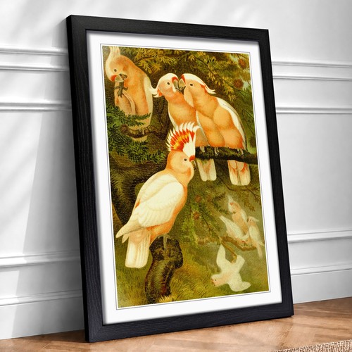 Vintage brehms tierlben major - vintage,