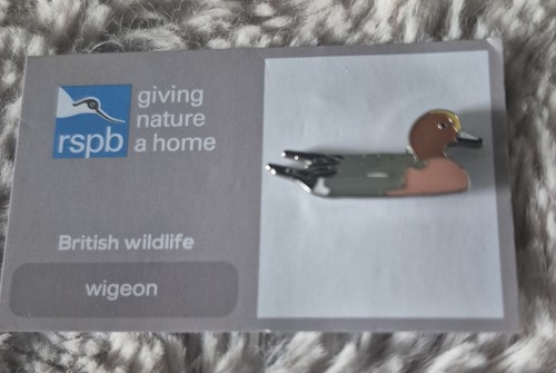 Rspb bird pin badge - rspb,
