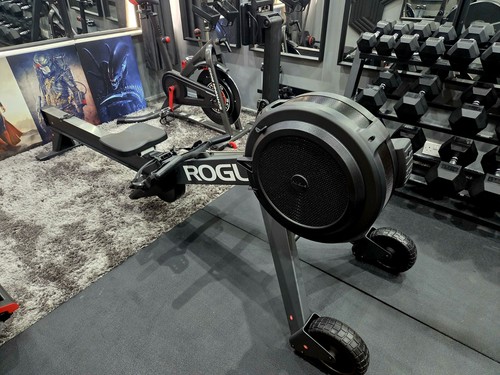 Rogue echo rower rowing - echo,