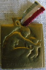 WW1 French War Effort Card Charity Medallion Orphelinat Des Armees Rene Lalique
