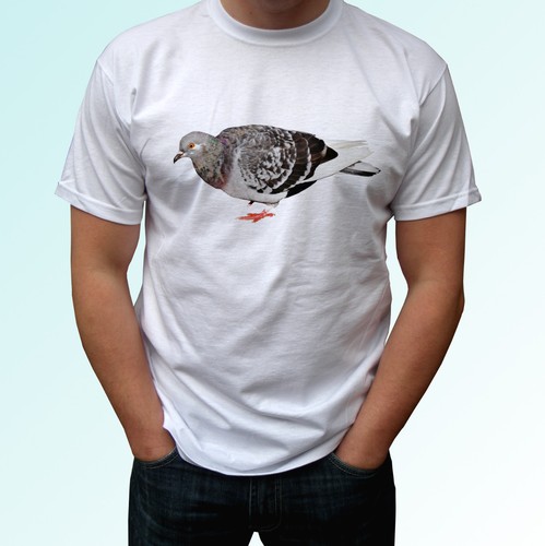 Pigeon white shirt animal - white,