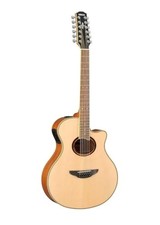 YAMAHA electric acoustic