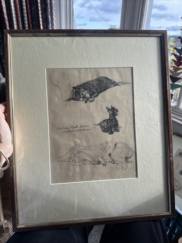 Cecil aldin framed print - aldin,