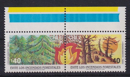 Chile 1985 forest fire - chile,