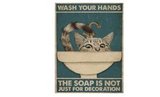 WASH YOUR HANDS SOAPS NOT