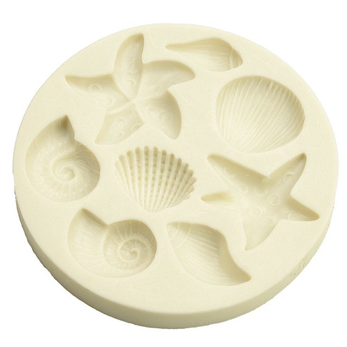 Sea beach shells piece - shells, 8-piece