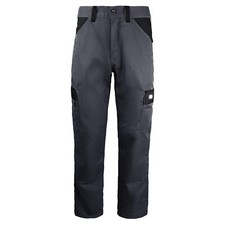 Dickies Everyday Mens