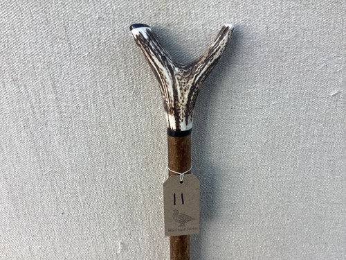 Red deer antler walking - antler,